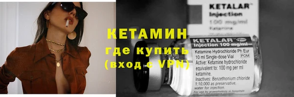 гашик Гусев