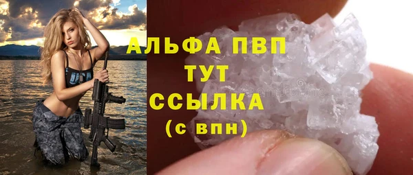 гидра Чита