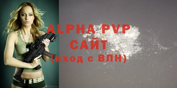 гашик Гусев