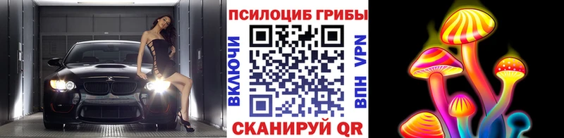 Псилоцибиновые грибы мицелий  Гуково 