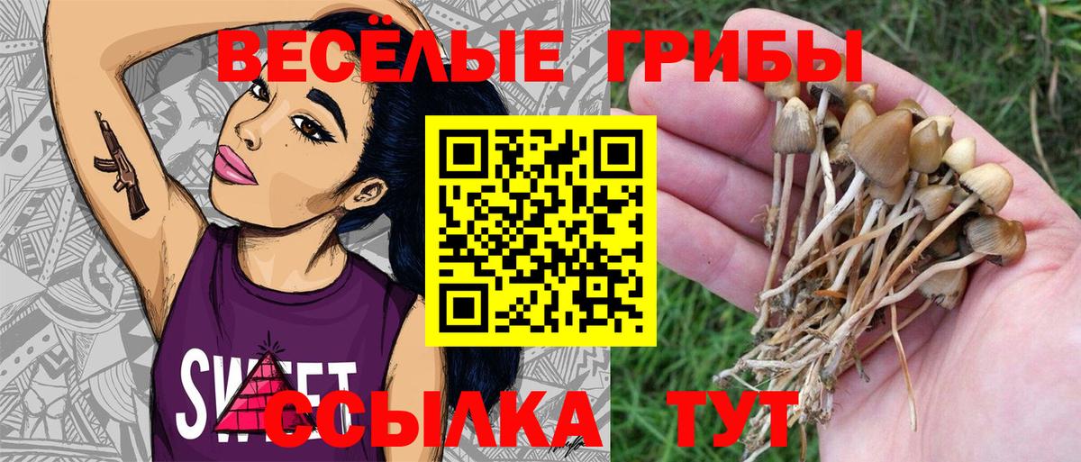 Галлюциногенные грибы мицелий Гуково