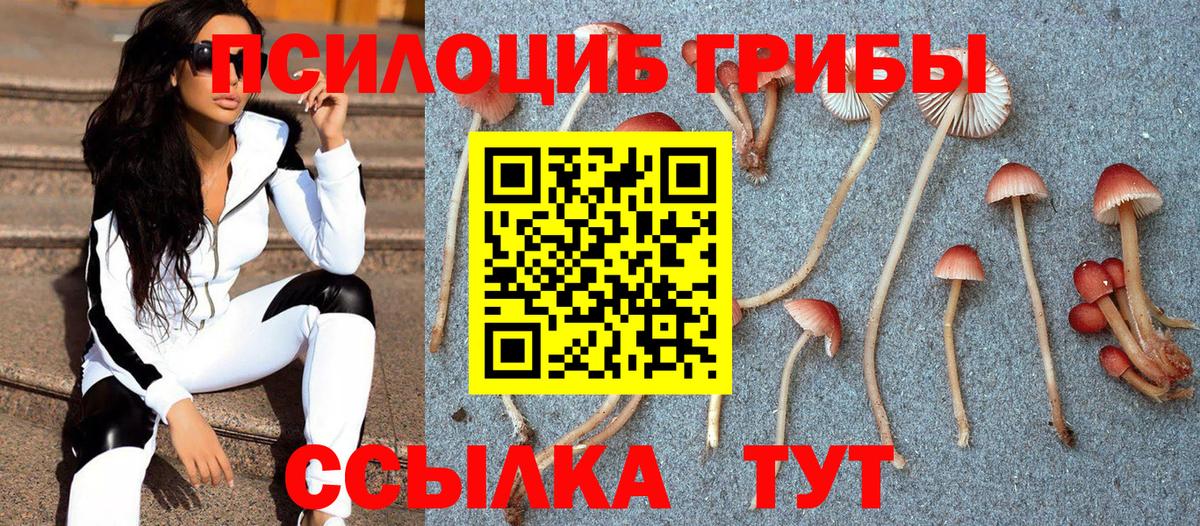 Псилоцибиновые грибы мицелий  Гуково 