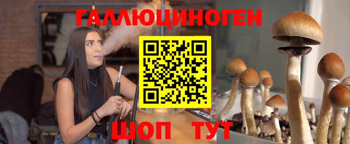 Галлюциногенные грибы GOLDEN TEACHER  Вход с VPN  Псилоцибиновые грибы Magic Shrooms  Гуково 
